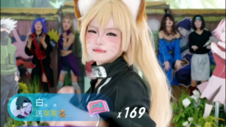 今天看看可爱的鸣子吧（累的转圈圈）