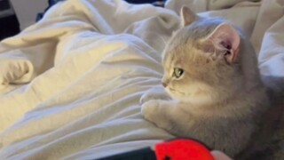 “จู่ๆ ก็สะกิดใจฉันเลย”