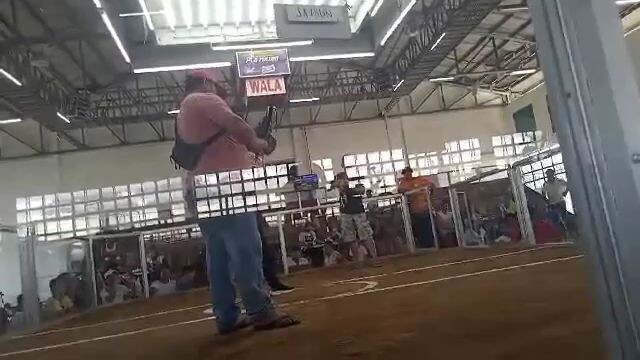 2hits ulutan gf loss