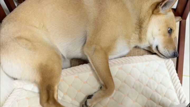 How does it know to peel off the mat when it’s hot?
