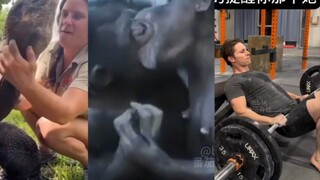 【Kumpulan video abstrak yang bikin geleng-geleng di TikTok #51】