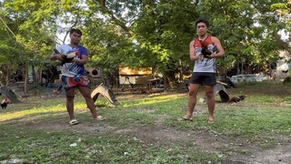 Left Side: Melsims Grey VERSUS Right Side: Sweater Gilmore (1st Spar) (taken last May 21)