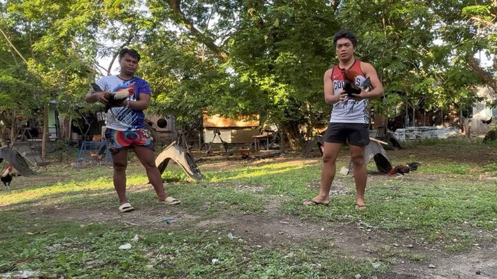 Left Side: Melsims Grey VERSUS Right Side: Sweater Gilmore (1st Spar) (taken last May 21)