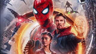 SPIDERMAN NO WAY HOME
