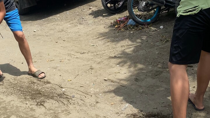 pumpkin sweater x lemon sweater spar