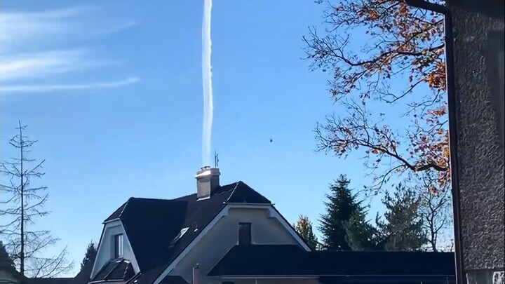 What do wind forces from 0 to 12 look like?