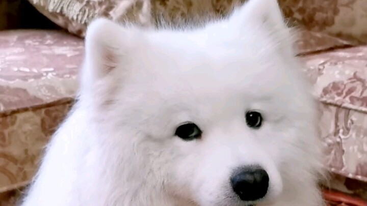 Because in his heart, you’re the only one for life!