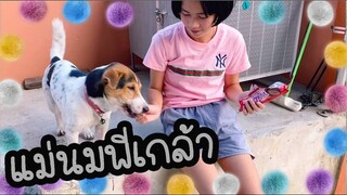 โลกของแสนดี ตอน พี่เลี้ยงของแสนดี