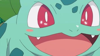 Watch the original trio of Pokémon returning from the Sun and Moon arcs in one go