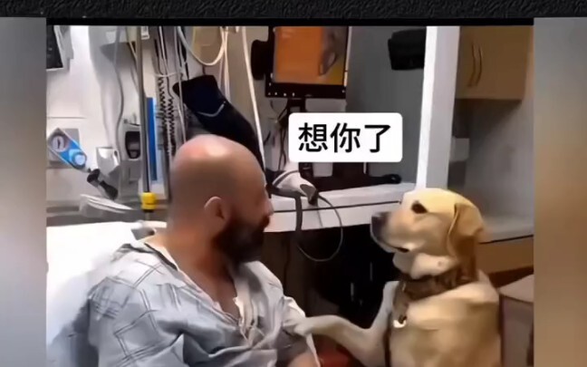 The dog insisted on being hospitalized with its owner—right up until they were both discharged toget