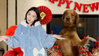 过年舞蹈 安排上了