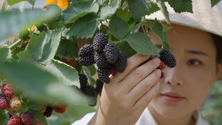 [Village Cooking] Raspberries, the sweet little fruits we used to climb mountains to find as kids.