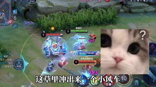 Why does the game "It's a Fish" lack a feature?