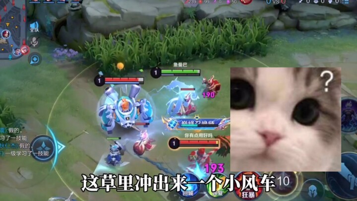 ทำไมเกม "It's a Fish" ถึงไม่มีฟีเจอร์อะไร?