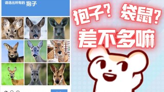 【Bison仓鼠】狍子和袋鼠那么像！我画成东北袋鼠也没问题吧？