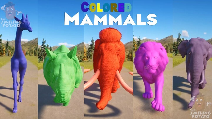 Colored Giraffe, Colored Elephant, Mammoth, Lion, Zebra & Others Mammals Animal Race in Planet Zoo 🦒