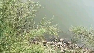 Who would have guessed it'd turn out to be something like this!