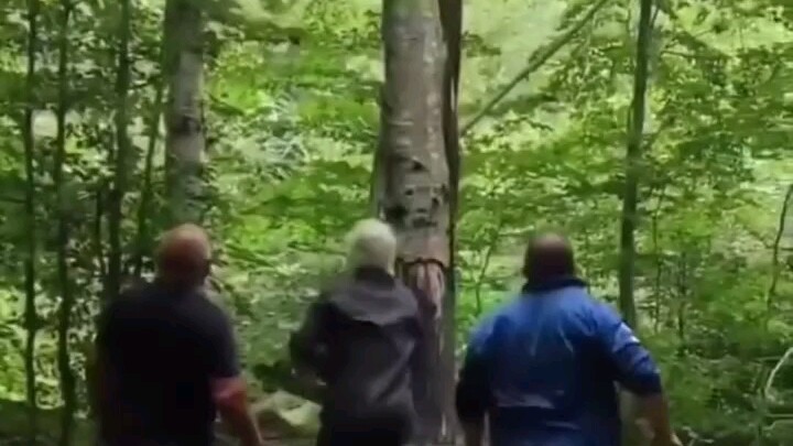 弹射起步