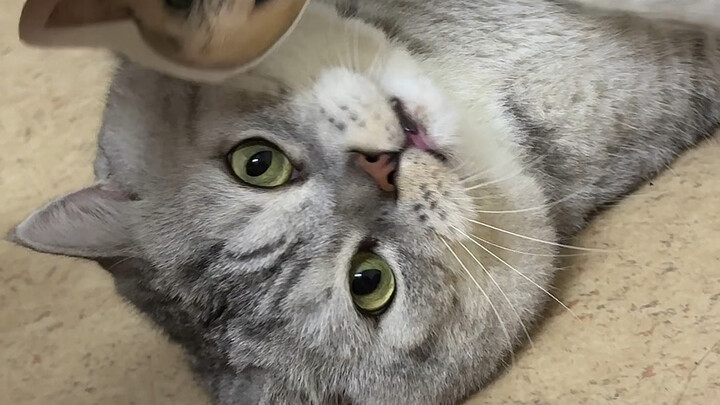 أعطِ دازهوانغ صوت نداء نفسه للاستماع إليه