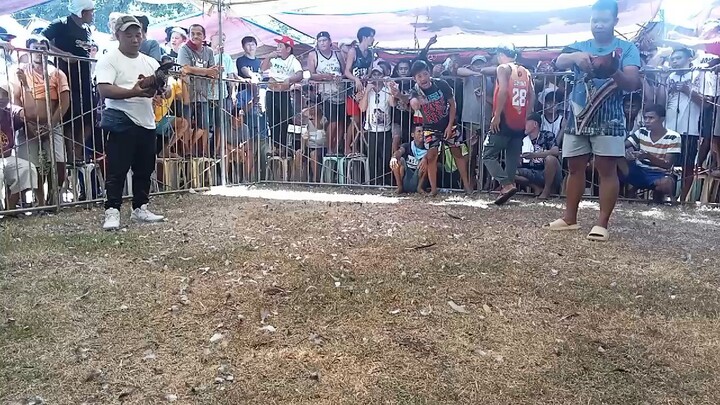 panalo hita lang sugat