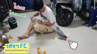 EP.222 พี่เฮงตามติดชีวิตพ่อบี จะให้ทำอะไรพี่เฮงทำหมด