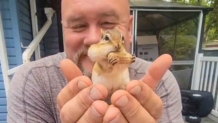 سنجاب يجيد الامتنان