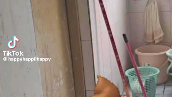 meme from tiktok be like  :