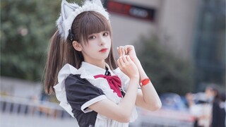 【腥味猫罐】毛茸茸女仆能量发送中...