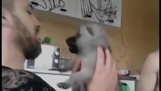 Man Enthusiastically Rescues Puppy
