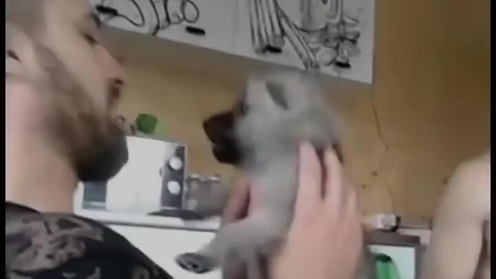 Man Enthusiastically Rescues Puppy