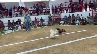 #whit