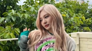นักออกแบบท่าเต้น Heimanba เอวของคุณโอเคไหม?