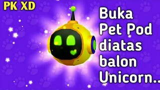 Cara mendapatkan Pet legendary diatas balon Unicorn apakah berhasil ??? | PK XD bahasa Indonesia