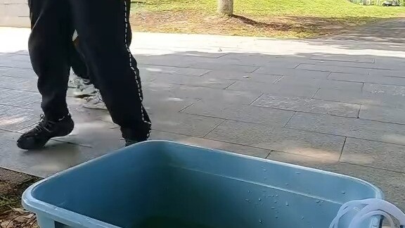 ตกได้ปลาฮูลู่สองตัว นำมาขายหน้าปากซอย กลับไม่มีใครซื้อสักคนเลย