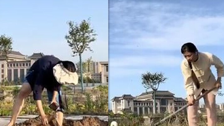 A junior college student turned the school rooftop into a “vegetable garden,” growing over a dozen k