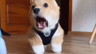 "Ketika kamu sudah tidak kuat lagi, coba lihat ini"