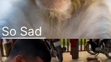 emotional video of India
