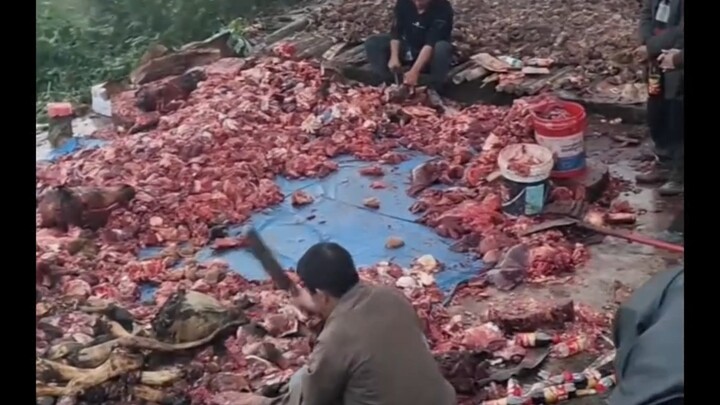 เนื้อตัวตัวแห่งเทือกเขาต้าเหลียง ทีวีของสำนักงานบรรเทาความยากจน พ่อที่เข้มงวดที่สุด