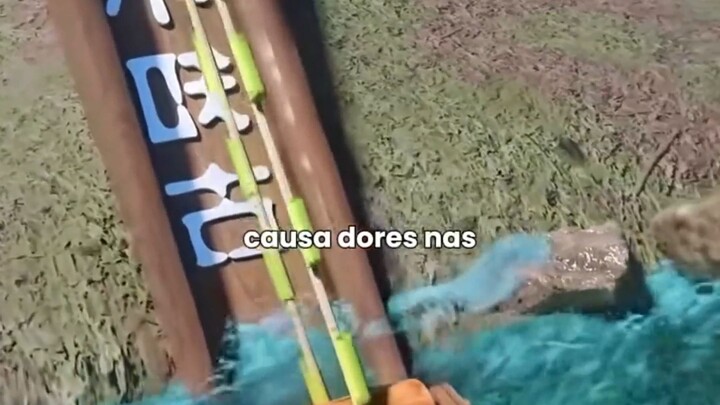 COMO ESTA RODA CONSEGUE LEVAR ÁGUA MORRO ACIMA?