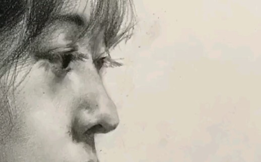 Collection of Portrait Sketches: Facial Features Compendium for Appreciation