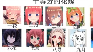 每日弔图分享
