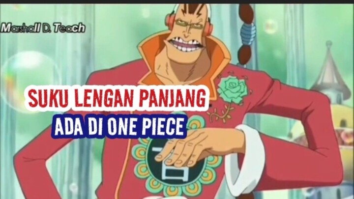 Suku Lengan Panjang Ada Di One Piece #luffy