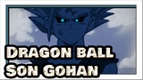 [Dragon ball]Son Gohan-The angels among demons