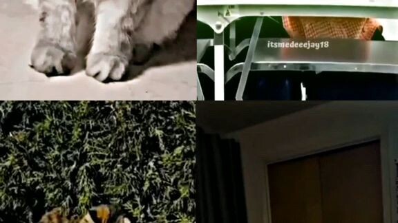 let me make your day