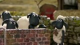 [S01E03] Shaun the Sheep Indo Dub