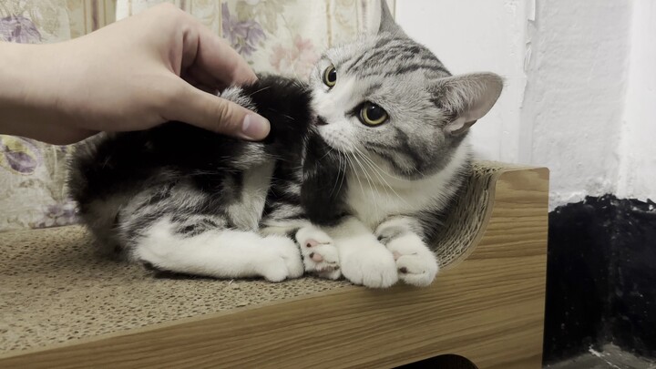 Memberi Pelajaran kepada Tentara Amerika