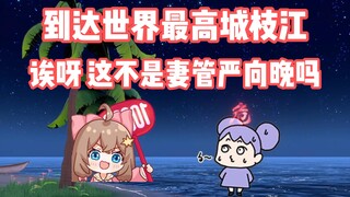 这么爽朗的笑声居然是向晚笑出来的