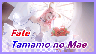 [Fate Grand Order/Cos] Tamamo no Ma/Yamashita Tomohisa/I promise it's not a fake cover!