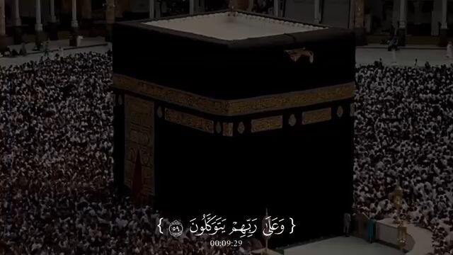 🖤
