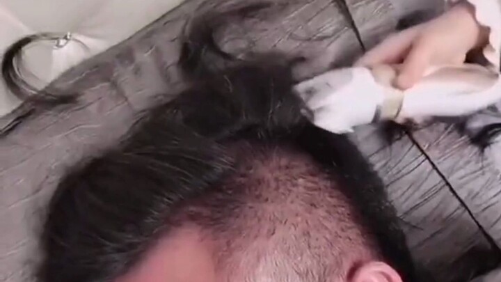 Funny Videos: "Did You Laugh?"